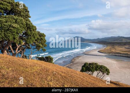 Taiharuru in der Nähe der Parua Bay und Whangarei, Nordinsel, Neuseeland Stockfoto