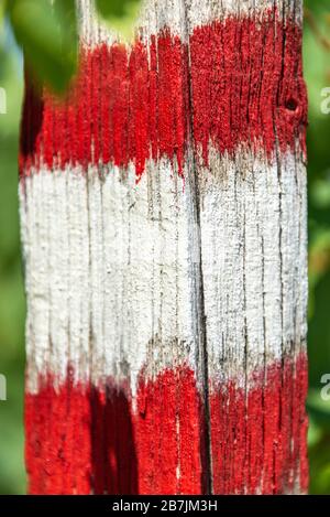 Das weiße und rote Touristenwegschild ist auf dem Baum gemalt. Die grünen Blätter als Hintergrund. Stockfoto