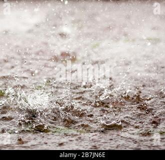 Starker Regen spritzt in einer Pfütze Stockfoto