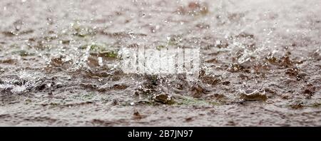 Starker Regen spritzt in einer Pfütze Stockfoto