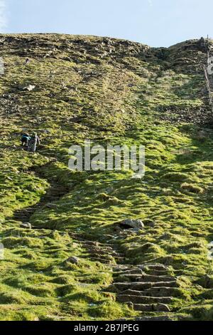 Wanderer, die den letzten steilen Abschnitt des Pfades von Chapel le Dale zum Berg Ingleborough im Yorkshire Dales National Park, England, erklimmen, Stockfoto