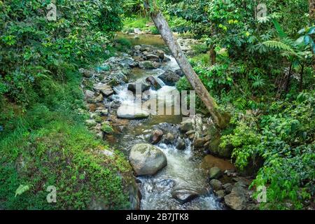 Der Parit fällt in Tanah Rata in Malaysia Stockfoto