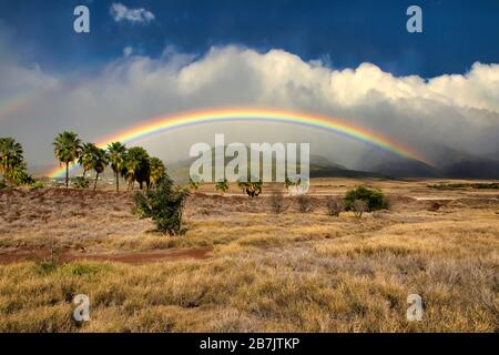 Atemberaubender Weitwinkelblick auf einen Panorama-Regenbogen über die westlichen Maui-Berge. Stockfoto