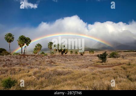 Atemberaubender Weitwinkelblick auf einen Panorama-Regenbogen über die westlichen Maui-Berge. Stockfoto