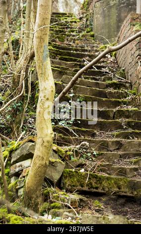 Alte unebene Steinstufen führen vom Fluss Eden, Armathwaite, Carlisle, England, Großbritannien, nach oben durch das Holz Stockfoto