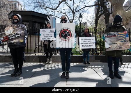 Die PETA-Aktivisten behaupten, COVID-19 habe auf einem lebenden Tiermarkt begonnen, und fordern, dass die Stadt den Betrieb von Schlachthöfen auf unbestimmte Zeit bei einer Kundgebung außerhalb der City Hall in New York City am 16. März 2020 unterbricht. Viele der in Wuhan, dem Epizentrum des Virus, erschickten, hatten einen lebenden Tiermarkt in Wuhan besucht; Behörden gaben an, dass es keine Beweise dafür gebe, dass sich das Virus von Mensch zu Mensch ausbreitet (Gabriele Holtermann-Gorden/Sipa USA) Kredit: SIPA USA/Alamy Live News Stockfoto