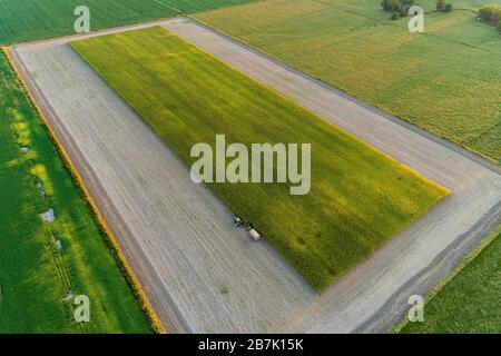 63801-14104 Luftaufnahme des Maisfeldes, das für Silage aufgeschnitten wird, Marion Co. IL Stockfoto