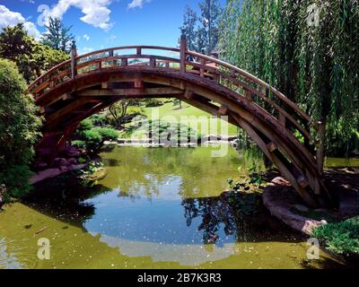 Botanischer Garten in der Huntington Library in San Marino, Kalifornien, USA Stockfoto