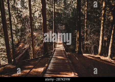 Hängebrücke im Kiefernwald Foto Panoramaansicht Reise Holz Outdoor-Park Wandern. Stockfoto