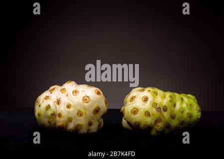 Zwei Noni- oder Käsefruits, eine weiß mit Flecken, die andere hellgrün, auf einer schwarzen Oberfläche vor dunklem Studiohintergrund Stockfoto