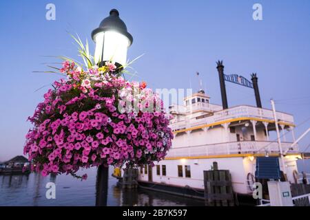 ALEXANDRIA, Virginia, USA – das Cherry Blossom Riverboat, ein Dampfschiff im viktorianischen Stil, liegt an der Uferpromenade der Altstadt von Alexandria. Dieses Charterboot, das von der Potomac Riverboat Company und City Cruises betrieben wird, bietet während einer Bootstour auf dem Potomac River eine malerische Aussicht auf Alexandria und die Skyline von Washington, D.C. Stockfoto