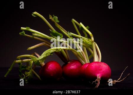 Ordentlich platziert in der Nähe einer Reihe lebendiger roter Radieschen mit grünen Stielen. Stillleben Studio Schuss Gemüse kontrastiert vor einem dunklen Hintergrund. Stockfoto