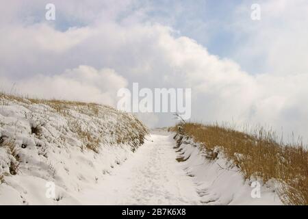 Mt. ASO im Winter Stockfoto