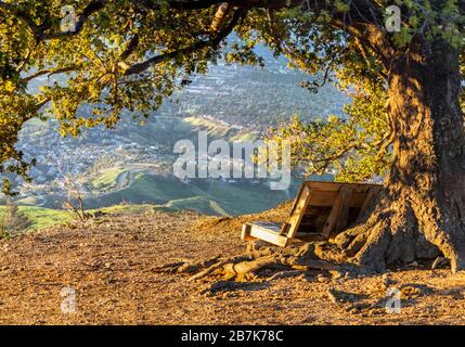 Holzbank unter Eiche mit Blick auf die Berge am frühen Morgen vom Mission Peak im Norden von Los Angeles, Kalifornien, aus dem San Fernando Valley. Stockfoto