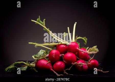 Viele Radieschen auf einer schwarzen Oberfläche gruppiert. Stillleben Studio mit Gemüsebeschuss vor dunklem Hintergrund. Stockfoto