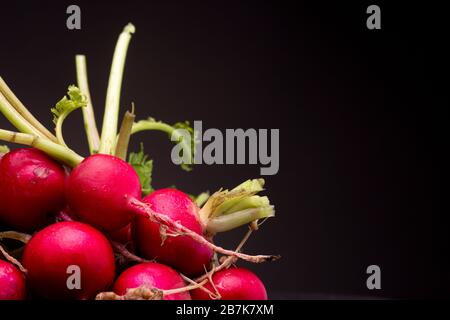 Radiergruppe unten links stark kontrastiert. Stilllebenstudio vor dunklem Hintergrund mit Obstschuss beschossen. Stockfoto