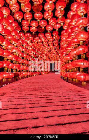 Rote Laternen, die typisch chinesische Festdekoration sind, wurden in Straßen für die Feier des bevorstehenden Rattenjahres, Changchun City, No Stockfoto