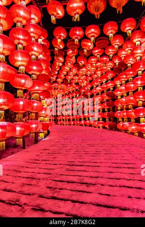 Rote Laternen, die typisch chinesische Festdekoration sind, wurden in Straßen für die Feier des bevorstehenden Rattenjahres, Changchun City, No Stockfoto