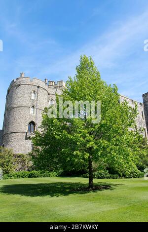 Windsor, Großbritannien - 14. Mai 2019: Windsor Castle an einem sonnigen Tag im Frühjahr Stockfoto