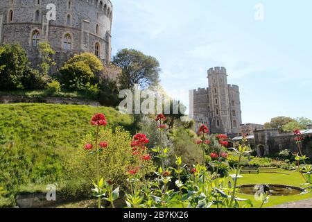 Windsor, Großbritannien - 14. Mai 2019: Schloss Windsor mit Garten an einem sonnigen Tag im Frühjahr Stockfoto