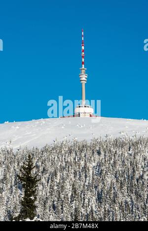 Pradierter Hügel mit Kommunikationsturm in den Bergen von Jeseniky in Tschechien am Wintermorgen mit klarem Himmel Stockfoto