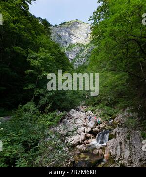 BOHINJ, SLOWENIEN - AUGUST 01: pfadfindergruppe Junge nehmen Sie während eines Exkurses eine Pause neben dem Fluss Savica am 01. August 2019 Stockfoto