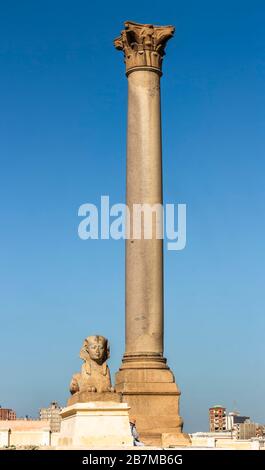 Pompeius Säule, einer der größten monolithen korinthischen Säulen und Sphinxe, steht an der östlichen Seite des Temenos des Serapeum von Alexandria Stockfoto