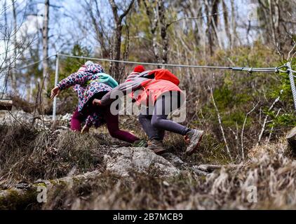 Kinder, die auf Familienausflug in die Berge oder in den Wald wandern. Aktive Familie, Eltern und Kinder Bergsteigen in der Natur. Kinder gehen im Wald Stockfoto