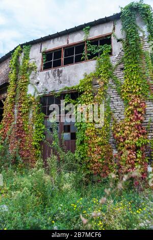 Verlassene Gebäude im Alten Hafen von Triest, Friaul-Julisch Venetien, Italien Stockfoto