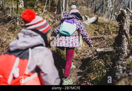 Kinder, die auf Familienausflug in die Berge oder in den Wald wandern. Aktive Familie, Eltern und Kinder Bergsteigen in der Natur. Kinder gehen im Wald Stockfoto