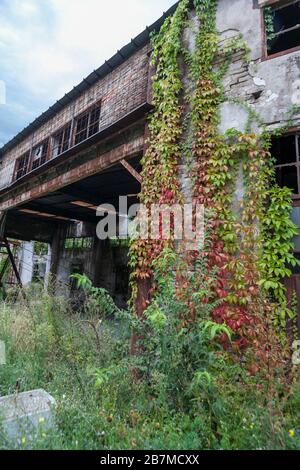 Verlassene Gebäude im Alten Hafen von Triest, Friaul-Julisch Venetien, Italien Stockfoto