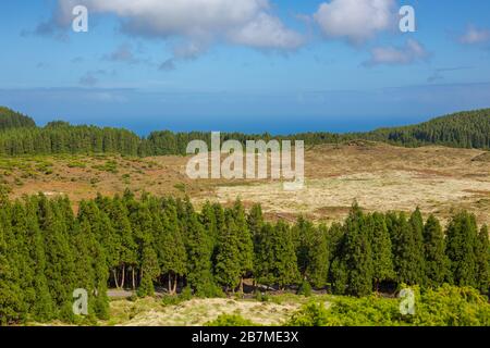 Hügel über Feldern. Terceira Insel auf den Azoren mit blauem Himmel und Wolken. Stockfoto