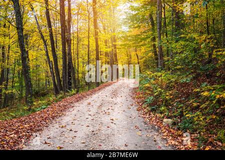 Kurvenreiche Schuttstraße durch einen schönen Laubwald auf dem Gipfel des Herbstlaubs Stockfoto