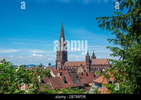 Freiburger Münster in Freiburg im Breisgau im Schwarzwald/Deutschland Stockfoto