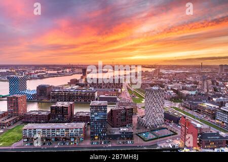 Rotterdam, Niederlande, Skyline der Stadt in der Dämmerung. Stockfoto