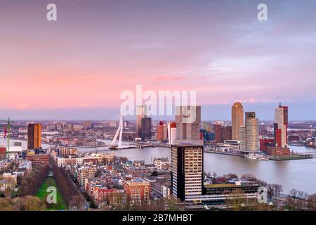 Rotterdam, Niederlande, Skyline der Stadt in der Dämmerung. Stockfoto