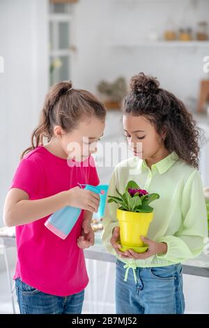 Süße Teenager-Mädchen mit Blumentopf von Veilchen. Stockfoto