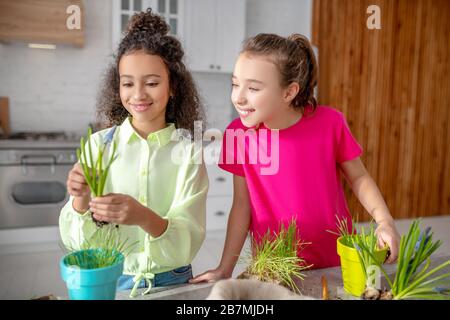 Zwei Teenager-Mädchen, die begeistert auf eine schöne Blume blicken. Stockfoto