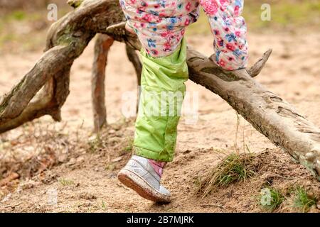 Tiefer Abschnitt eines kaukasischen Kindermädchens in warmer Kleidung, das Anfang des Frühlings im März in Deutschland über riesige Wurzeln einer Kiefer klettert Stockfoto