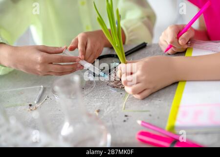 Die Hände der Kinder mit einer Blume und einer Spritze Wasser. Stockfoto