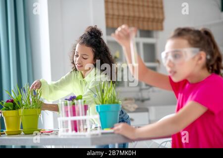 Mädchen in grünem Hemd in der Nähe von Blumentöpfen, Freundin mit Reagenzglas. Stockfoto