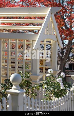 Australian Garden Stockfoto