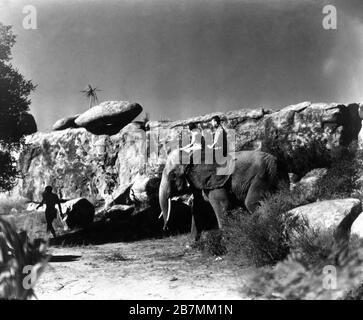 JOHNNY WEISSMULLER als Tarzan MAUREEN O'SULLIVAN als Jane Parker und NEIL HAMILTON als Harry holt in TARZAN DEN APE man 1932 Regisseur W. S. VAN DYKE Roman EDGAR RICE BURROUGHS Adaption CYRIL HUME Dialog IVOR NOVELLO Metro Goldwyn Mayer Stockfoto