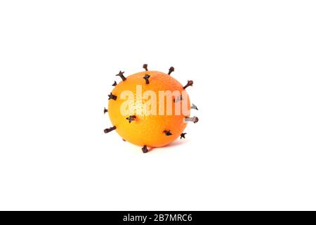 Orangefarbene Früchte stachelten mit Nelken, die wie ein Corona-Virus aussehen Stockfoto