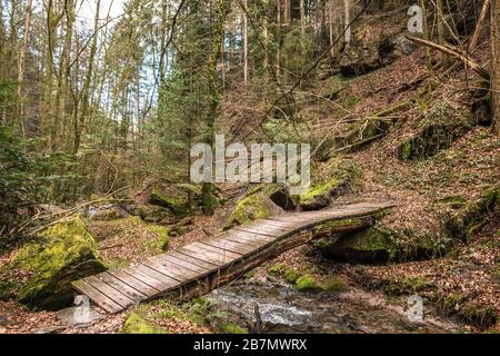 Kleine Brücke über den Bach entlang des Canyons mitten im grünen Wald Stockfoto