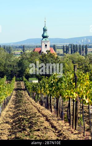 Österreich, Weinberg und Kirche Reisenberg in Oberösterreich Stockfoto