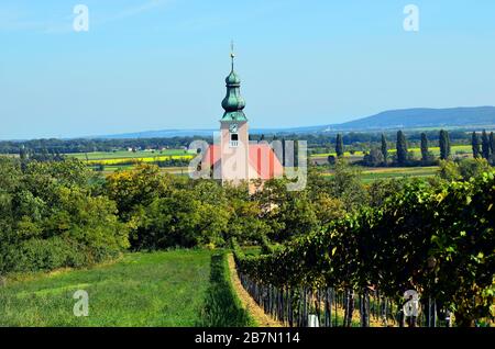 Österreich, ländliche Landschaft mit Weinberg und Kirche in Oberösterreich Stockfoto