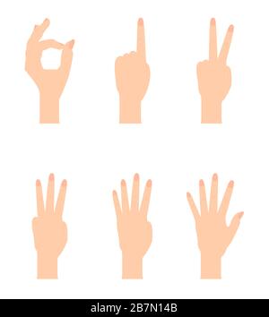 Satz naturalistischer Handsilhouetten, die die Zahlen 0, 1, 2, 3, 4, 5 mit Flexion der Finger zeigen. Vektor Illustraion Stock Vektor