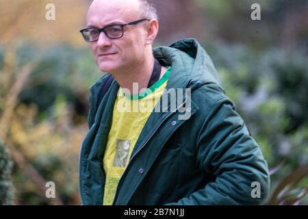 London, Großbritannien. März 2020. Dominic Cummings kommt an 10 Downing Street, London Credit: Ian Davidson/Alamy Live News Stockfoto