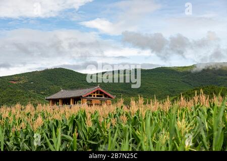 Ein Gebiet in der Nähe von Lashi Hai, das Teil der alten Tea Horse Road, Chamagudao, war und sich durch die Berge von Sichuan, Yunnan und Tibet in China schlängelt. Stockfoto